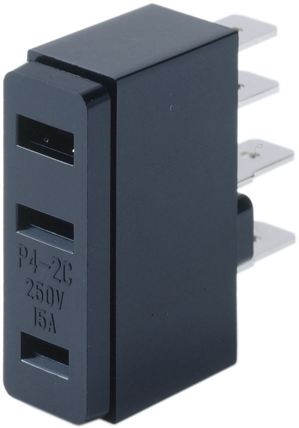P4-2C / P4-2C(YR)